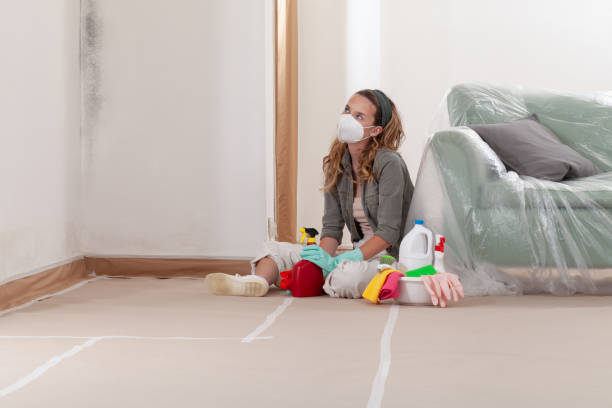Reliable Commercial Mold Remediation contractor in Trevorton, PA by WQB Mold Removal